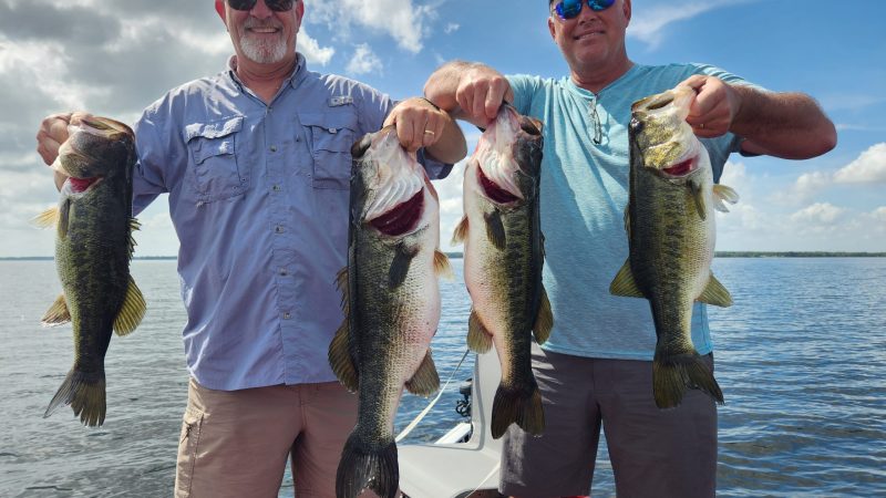 Bass Fishing Charters Florida